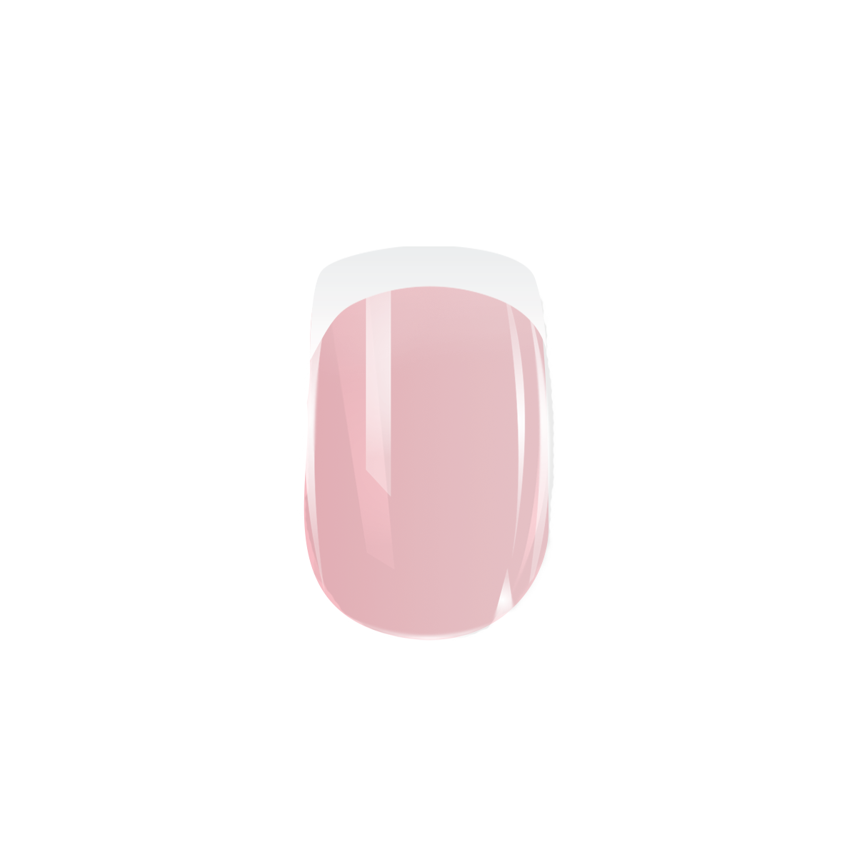 Maïa