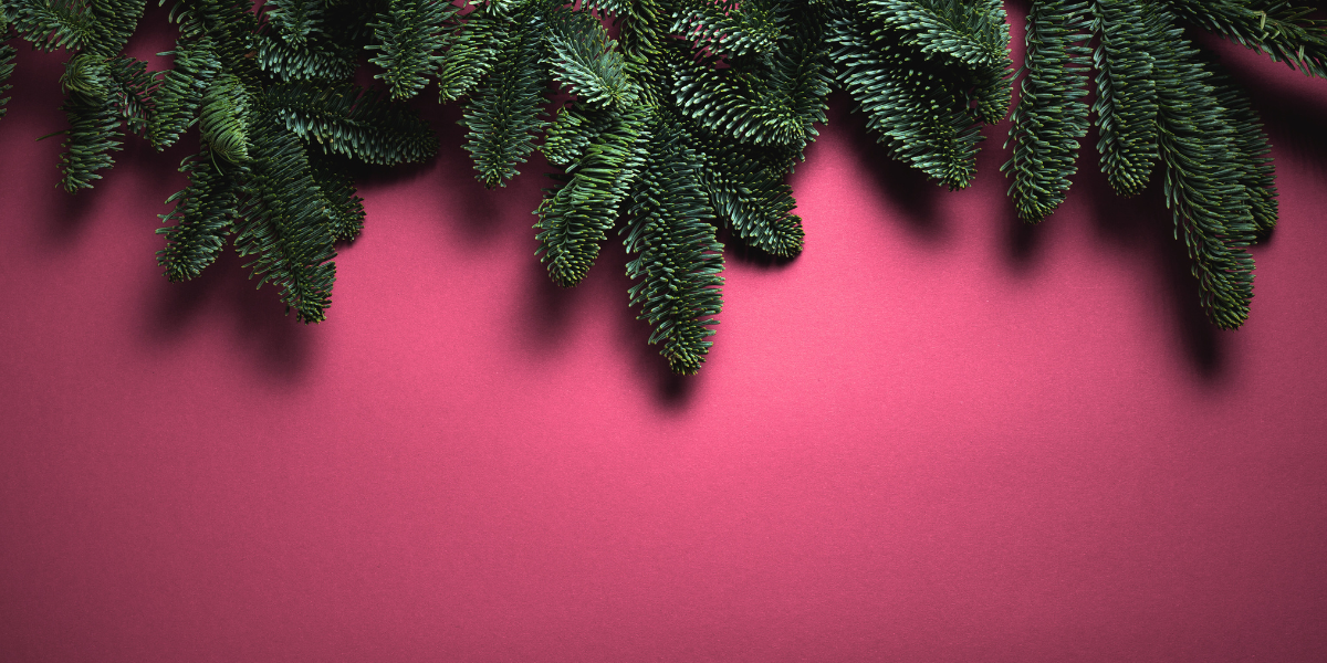 collection-banner-image